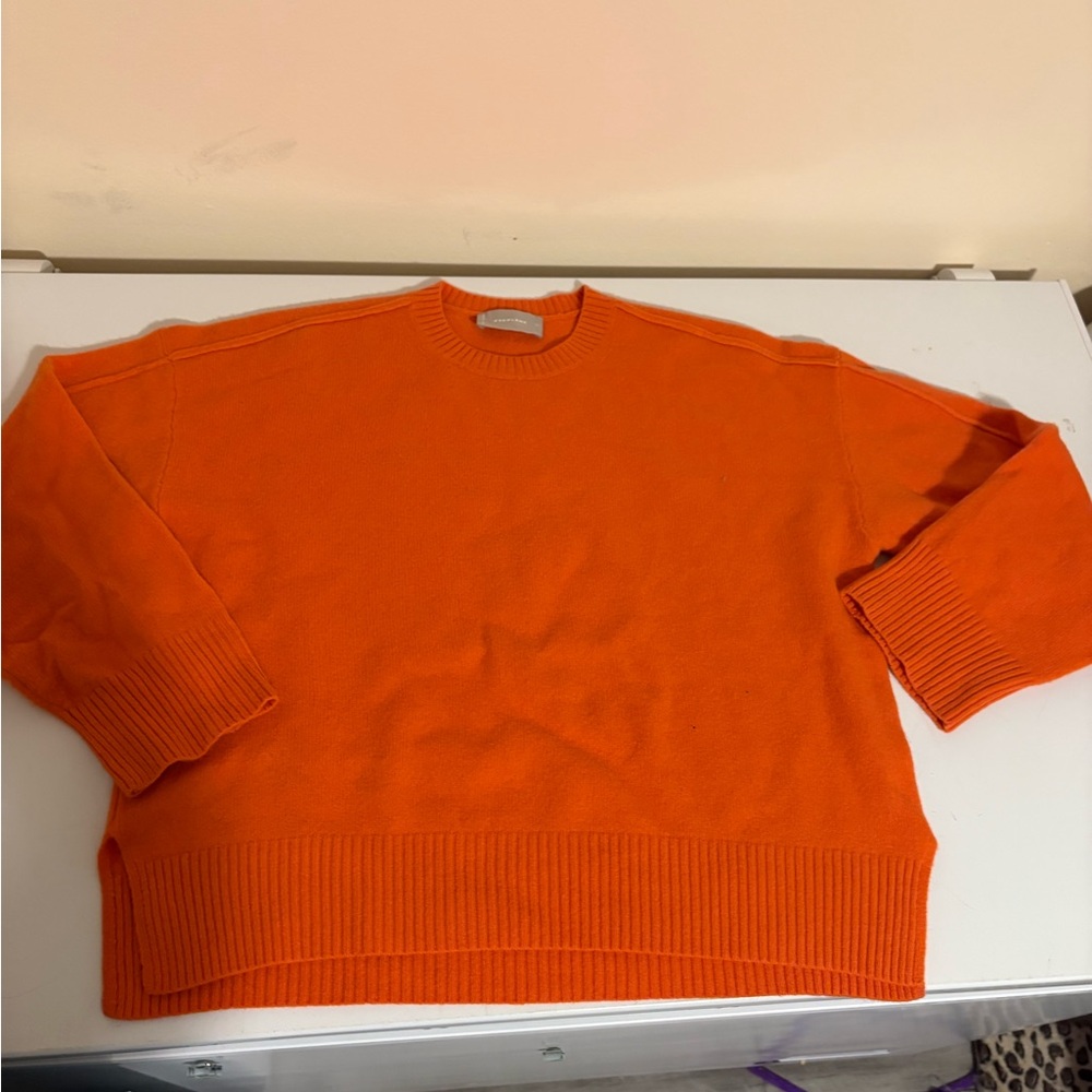 Everlane 100% wool XL pumpkin Orange Crewneck boxy Sweater